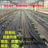 防草布、农场苗圃防草布抑草布、建通土工实力厂家（图）