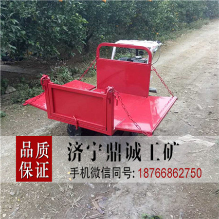 10 汽油履带式运输车 (7)