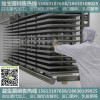 【益生菌代工|一然生物】曲阜-发酵剂作用高质量