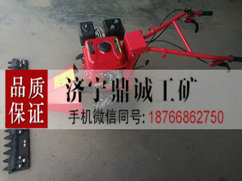 4 手推式剪草机 (2)