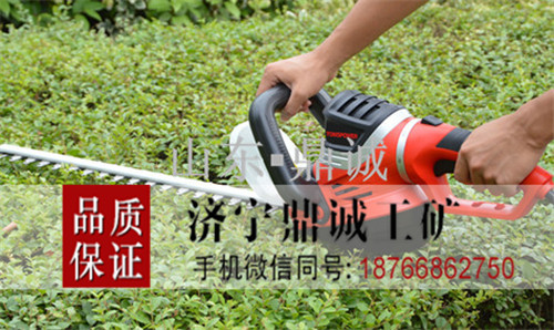 15 电动修枝机 (3)