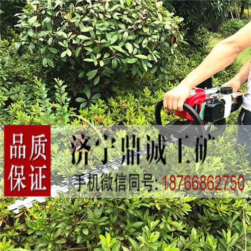 17 汽油绿篱机 (1)