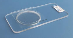 丹麦KC-Denmark公司45ml浮游生物计数框