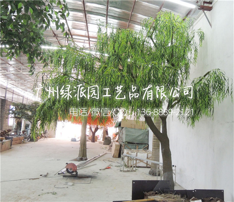 DSC柳树 垂柳N0314