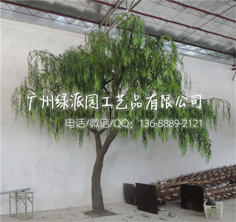 柳树 垂柳DSCN0300