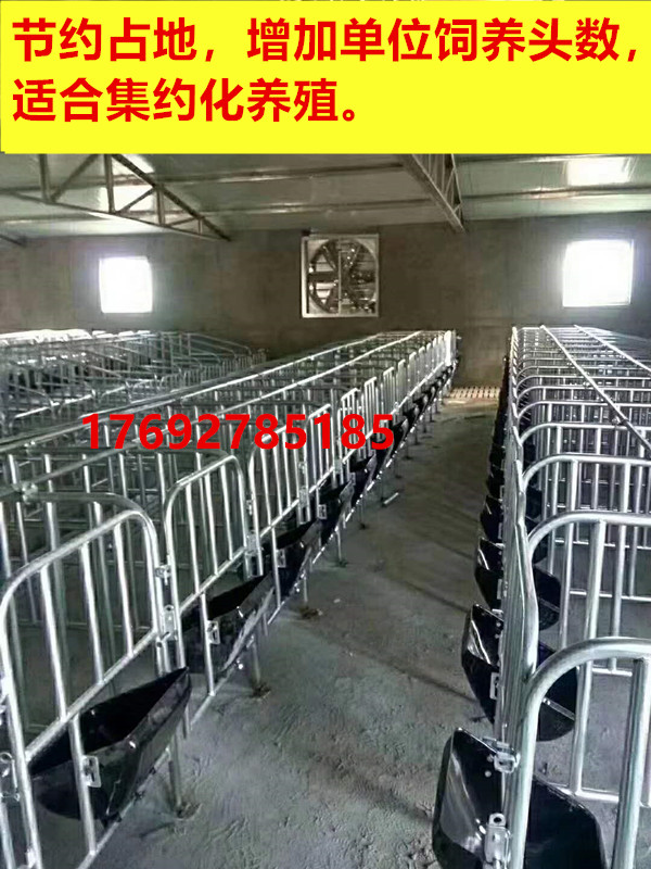 75cddc8414eecc251b8956c6bff14d2_副本