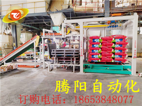 腾阳全自动码垛机