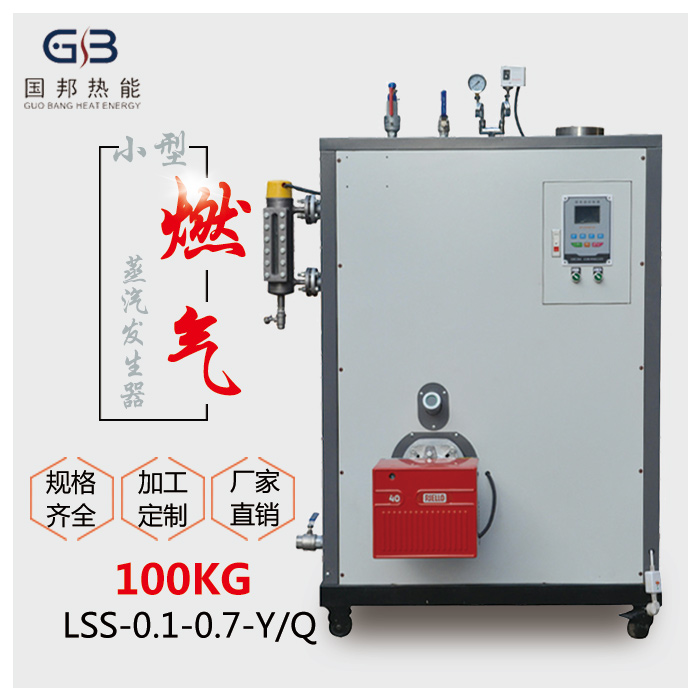 国邦100KG 燃气蒸汽发生器 节能环保发酵罐专用蒸汽发生器