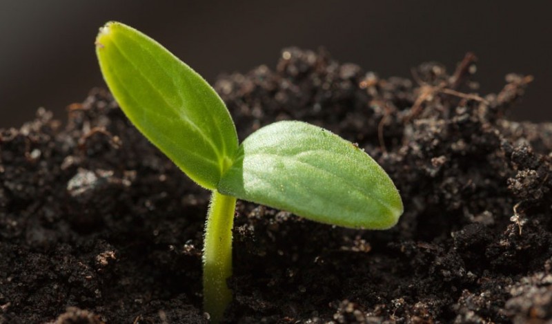 240405-1FQ614362865_看图王