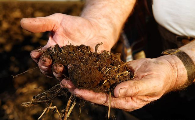 微信图片_20190802094711