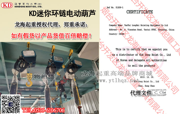 KD迷你环链电动葫芦大图