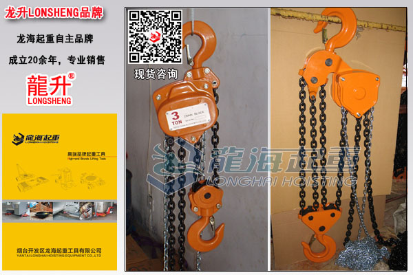 龙升手拉葫芦图片