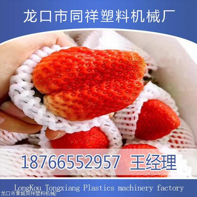 b_4235793_201905171024318553