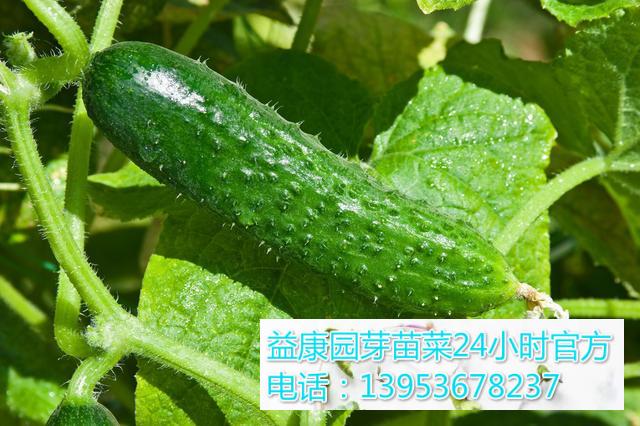 72b16714-2c1f-45ff-8054-0c2eedf7eaa2