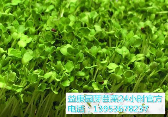 20191123152715937_WPS图片