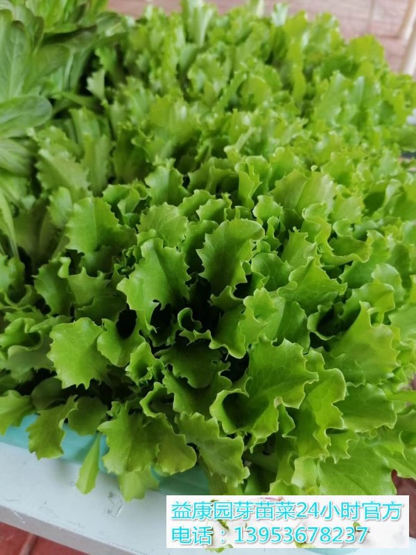 ffe20d671ab16adbcb9db2fda6a5b36(1)_WPS图片