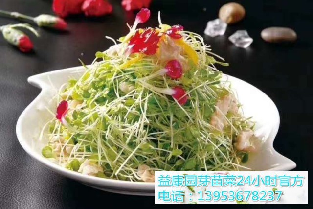 254f494d779470bbe9e68ea5f143ace(1)_WPS图片