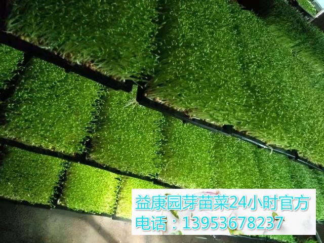 591e8b1de1fdd4afb7fb0be43d680cfb_t01b490eee1eef9e14c