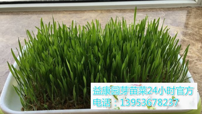 690<em></em>x390_8f9371a0a77cc7146c57f8b144d841d7