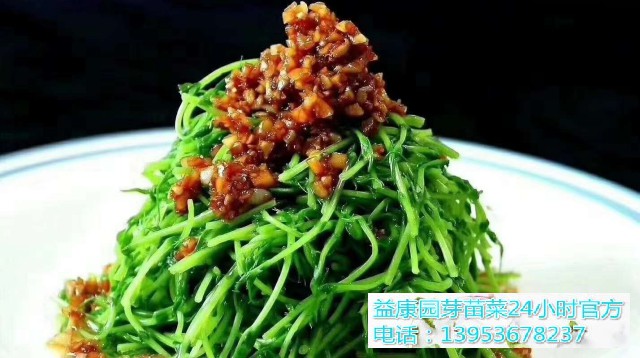 6b544dc7da6394e2fb1bba9904a80b1(1)_WPS图片