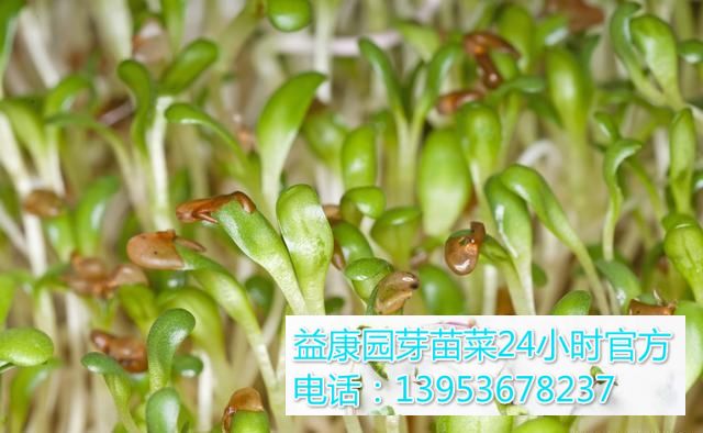 08b8e07582e0e8b7f88fbd8c83271bde_t01a9cd8c5ad822b4cd