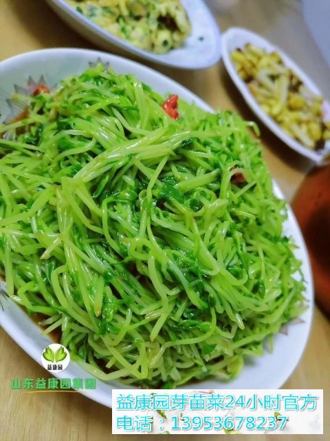 6172bcb4fc02b09f1b3c08dd21f8b6e(1)_WPS图片
