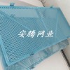 镀锌板喷涂爬架网 v字型爬架网 圆孔网防护网片