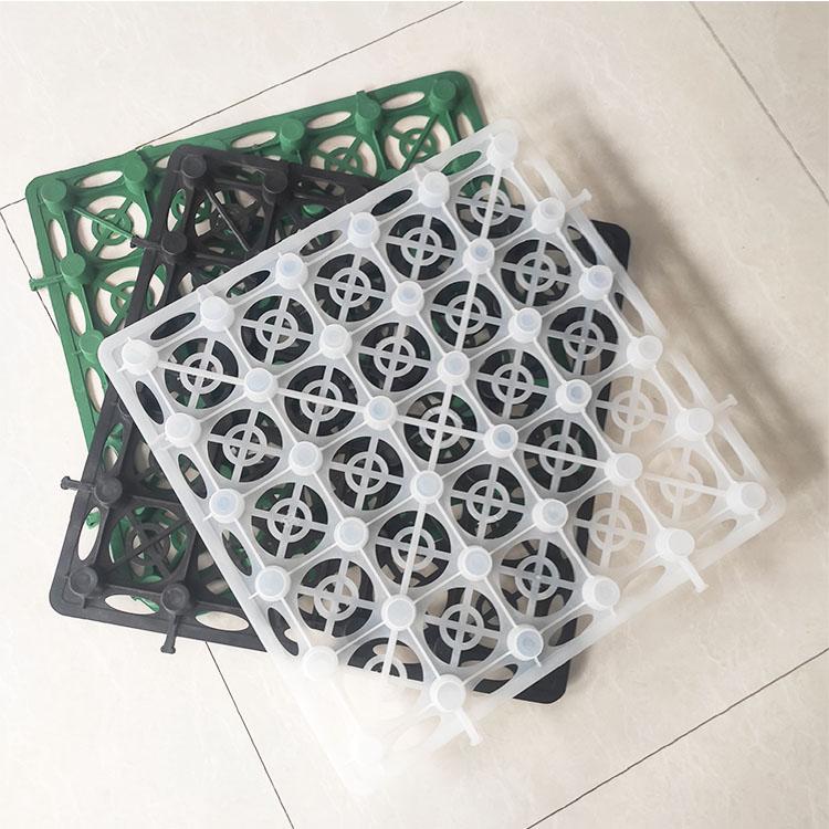 033a7b15-6611-4b75-af1f-20bb8fcb1bc5_large