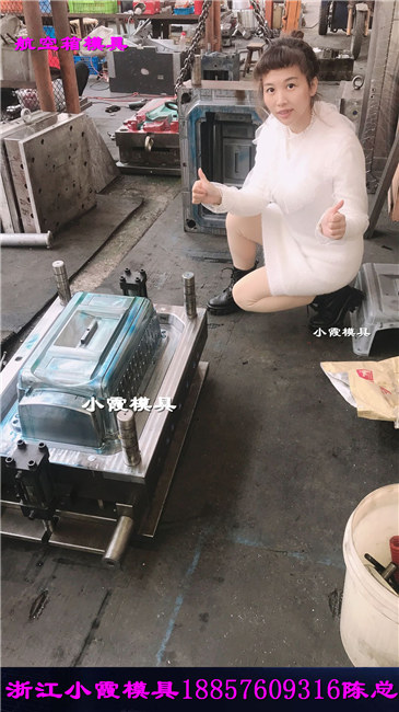 宠物航空箱模具 (2)