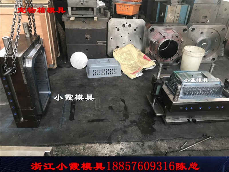 宠物航空箱模具 (11)