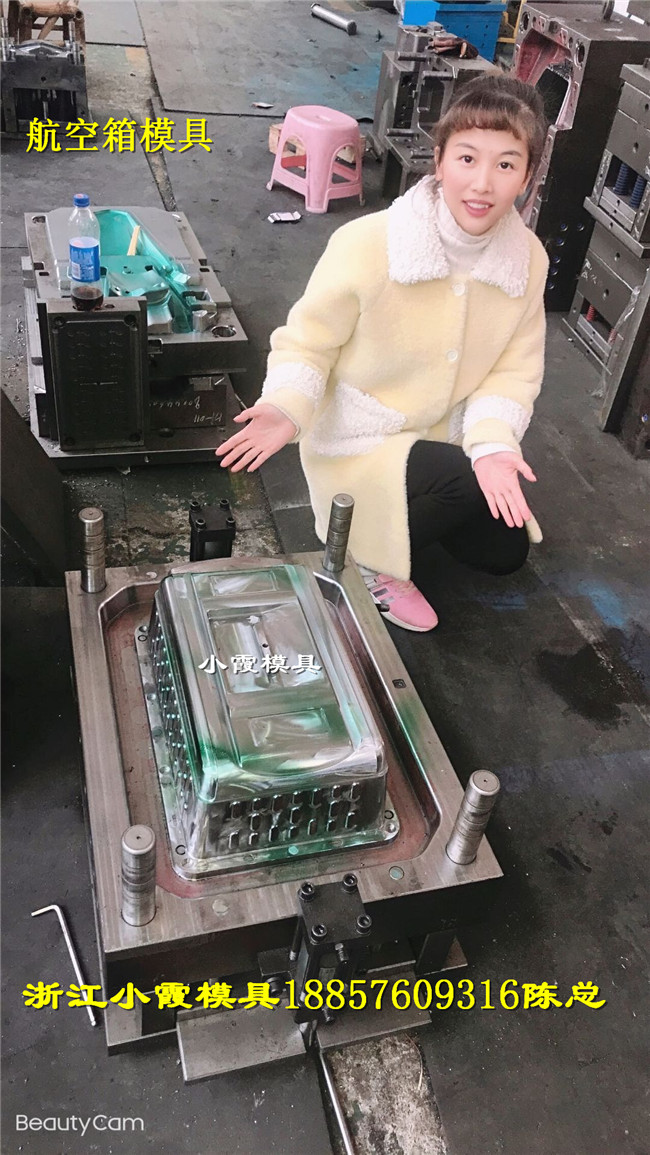 宠物航空托运箱模具 (6)