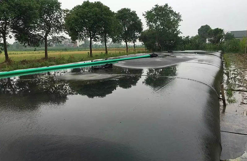 8654803558_631321790