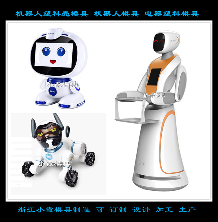 机器人塑料壳模具 (5)