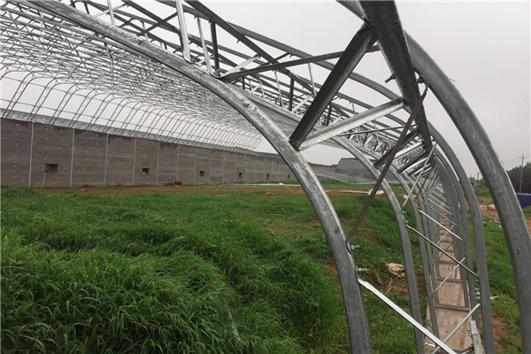 mmexport1595310409071_看图王_副本