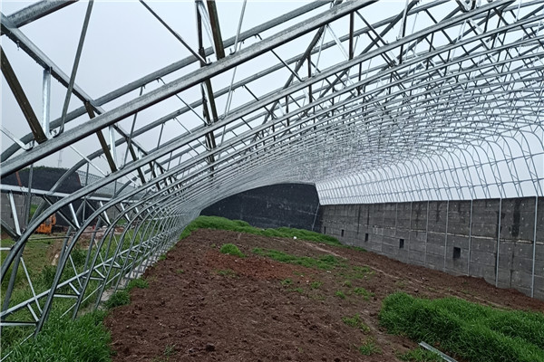 mmexport1595060204176_副本