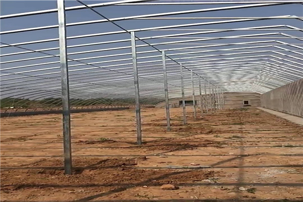 mmexport1535342794516_副本