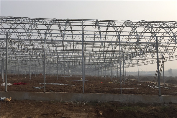 mmexport1604106138769_副本