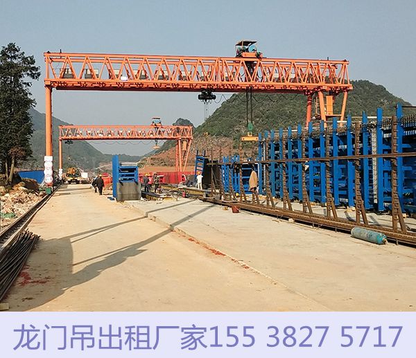 龙门吊厂家2 (2)