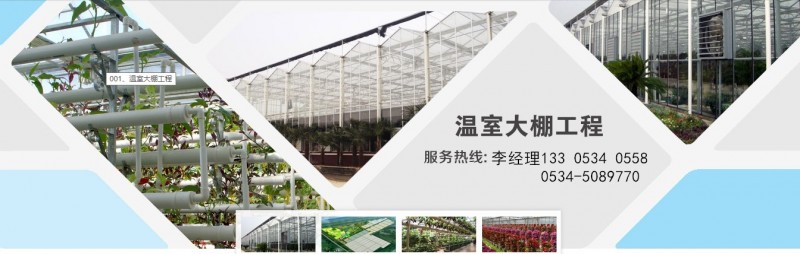 360桌面截图20161220095552_副本