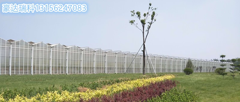 157367974748319214_副本