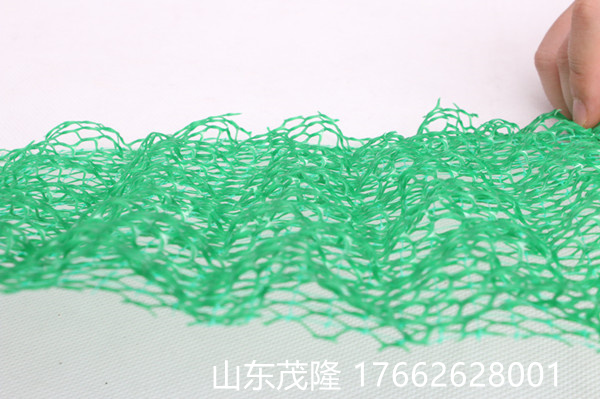 IMG_0117_副本_副本