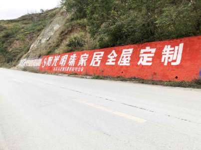 阳光明珠家居(手绘)墙体广告精选照片近景3