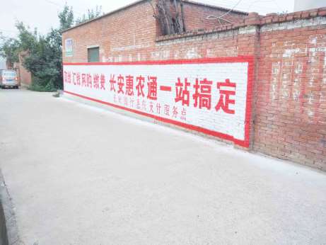 长安银行陕西地区(手绘)墙体广告精选远景照片1