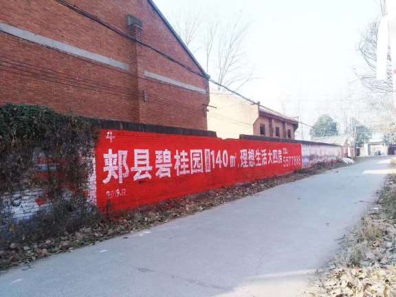 农村墙体广告 (14)