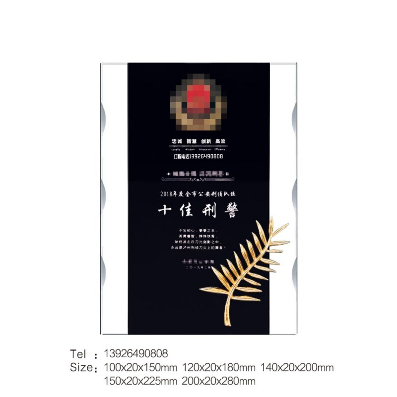 波浪边上下直边奖牌-十佳刑警-棕榈叶-黑色_139水印