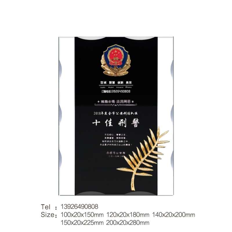 波浪边奖牌-十佳刑警-棕榈叶_139水印