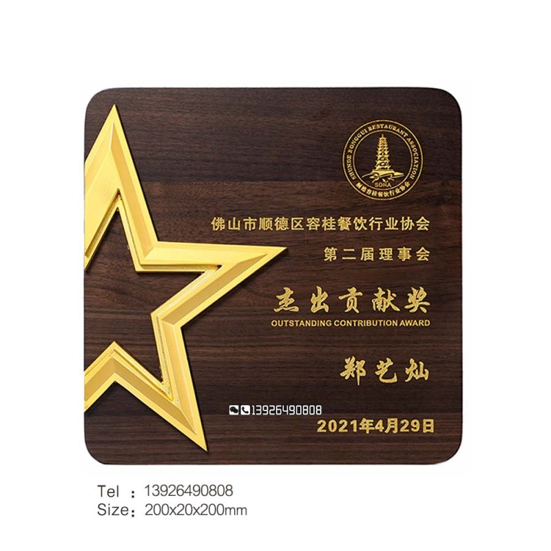 胡桃木亚克力奖牌-杰出贡献奖_副本