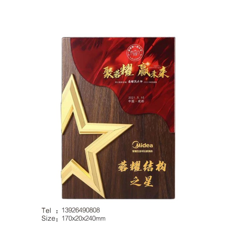 胡桃木亚克力奖牌-长款-美的奖杯