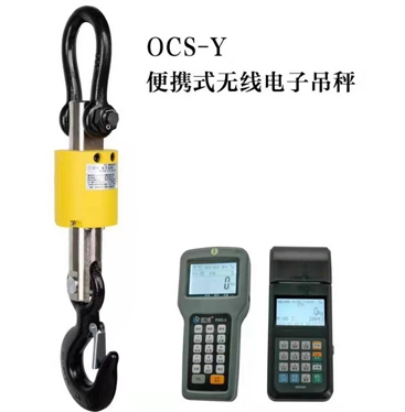 便携式电子吊秤