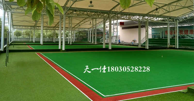 门球场2水